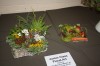 Thumbs/tn_Horticultural Show in Bunclody 2014--18.jpg